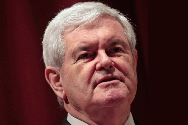 Newt Gingrich (Reuters/Darren Hauck)