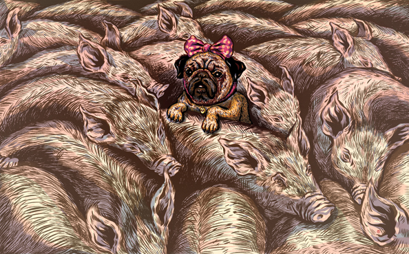 Illustration for The New York Times Book Review (art director: Nicholas Blechman) (Jungyeon Roh)