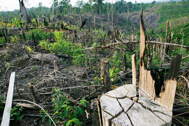 (AP/Achmad Ibrahim)