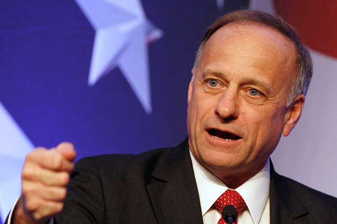 Steve King (Reuters/Larry Downing)