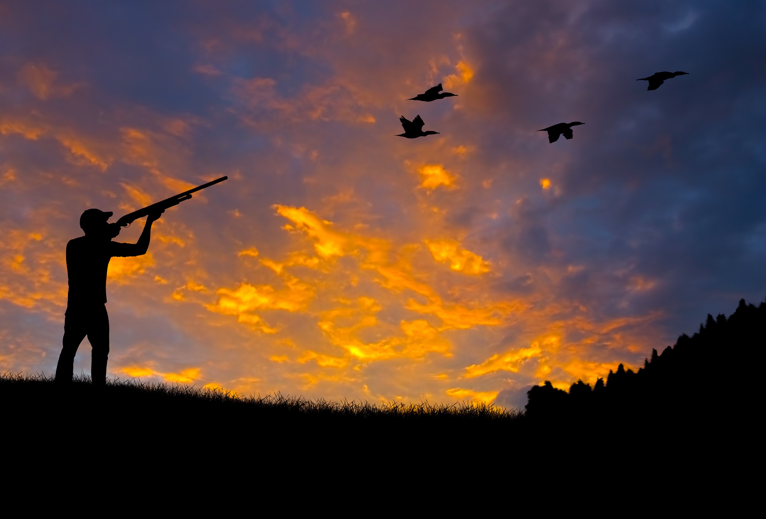 (<a href='http://www.shutterstock.com/gallery-1004723p1.html'>Photoexpert</a> via <a href='http://www.shutterstock.com/'>Shutterstock</a>)