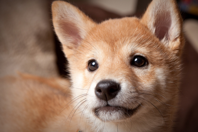 (<a href='http://www.istockphoto.com/user_view.php?id=113492'>sdominick</a> via <a href='http://www.istockphoto.com/'>iStock</a>)