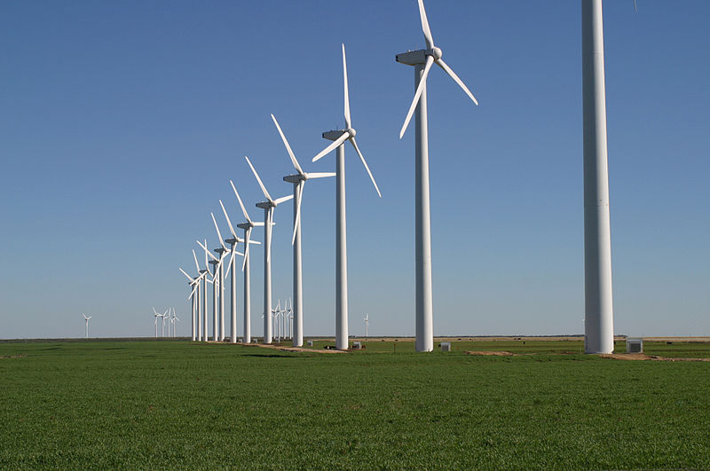 Brazos Wind Farm, Texas (Brazos Wind Farm, Texas, via Wikipedia)