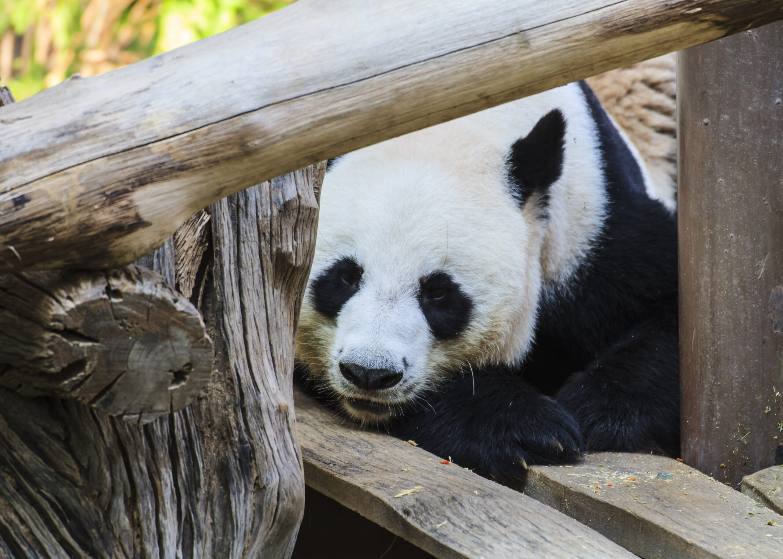 (<a href='http://www.shutterstock.com/gallery-935371p1.html'>rujithai</a> via <a href='http://www.shutterstock.com/'>Shutterstock</a>)