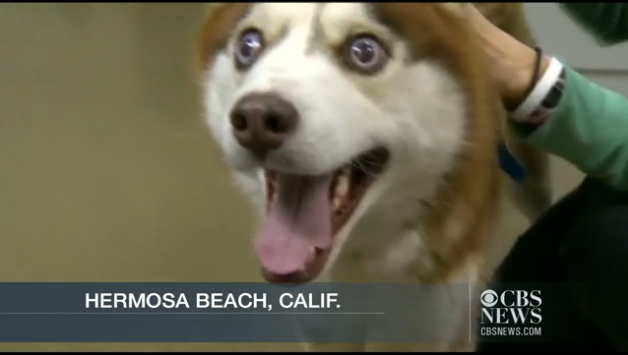 (CBS News)