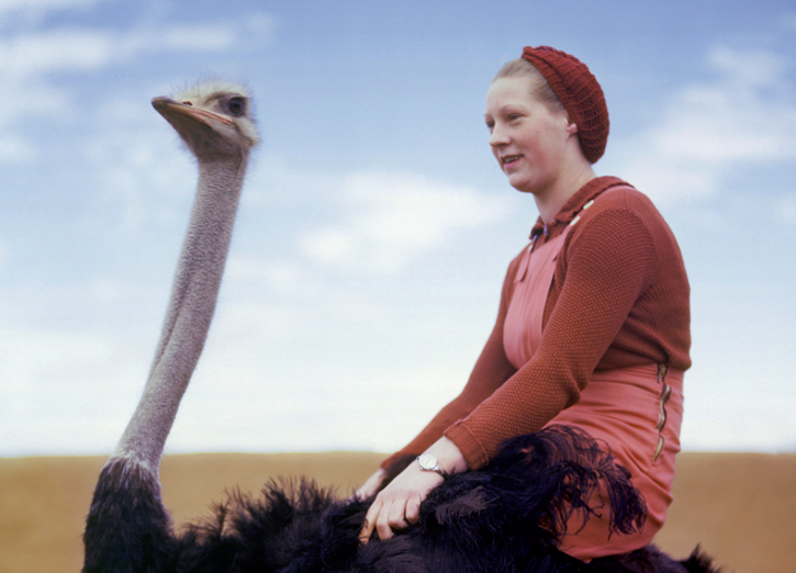 (National Geographic)