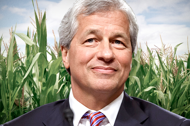 JPMorgan Chase CEO Jamie Dimon (AP/J. Scott Applewhite/<a href='http://www.shutterstock.com/gallery-707587p1.html'>smereka</a> via <a href='http://www.shutterstock.com/'>Shutterstock</a>/Salon)