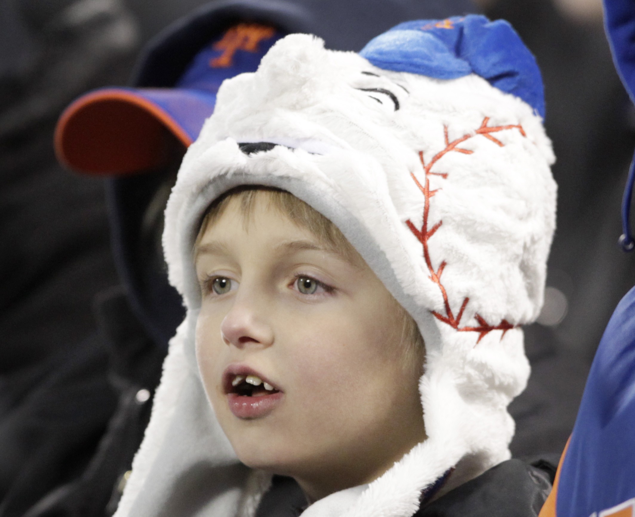 A New York Mets fan is bundled up against the cold during the Mets' baseball game against the San Diego Padres, Wednesday, April 3, 2013, in New York. (AP/Mark Lennihan)