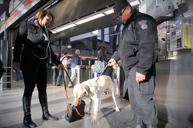 Miller, a Transit Police dog with the Massachusetts Transportation Authority Explosives Detection Unit, sniffs a bag Tuesday at Back Bay Station. (Reuters/Jessica Rinaldi)