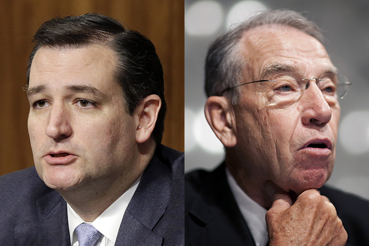 Ted Cruz, Charles Grassley (AP/J. Scott Applewhite/Reuters/Joshua Roberts)
