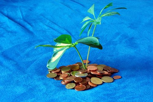 (Shutterstock/ Gunnar Pippel)