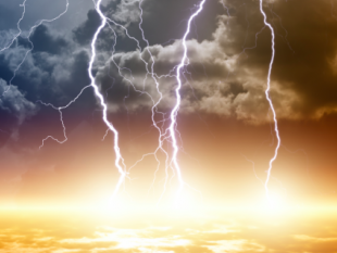 (via Alternet)