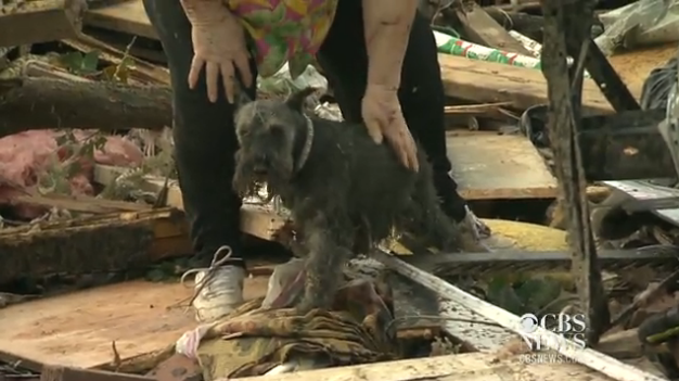 (CBS News)