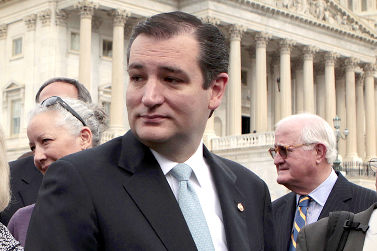 Rep. Ted Cruz (R-TX) (Reuters/Yuri Gripas)