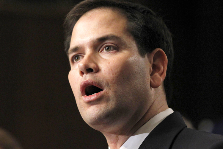 Senator Marco Rubio, R-Fla. (Reuters/Jason Reed)