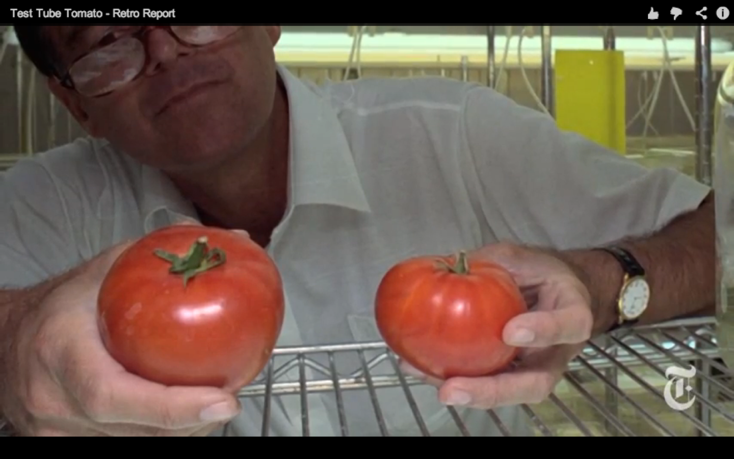 Scene still from "Test Tube Tomato"