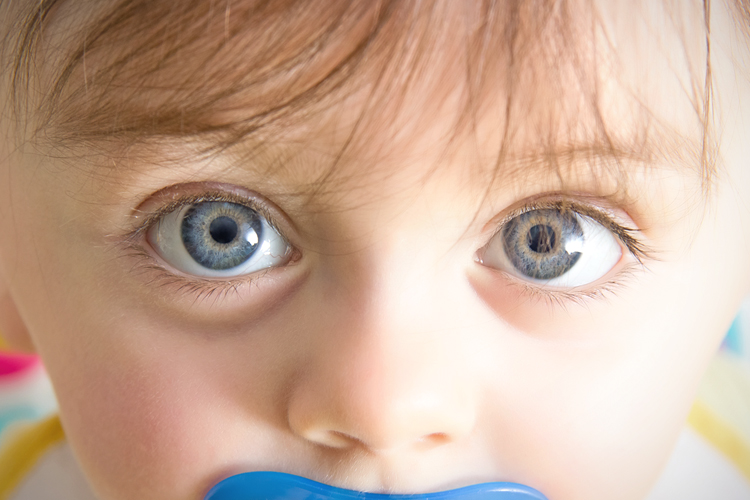 (<a href='http://www.shutterstock.com/gallery-1588379p1.html'>Dynamicfoto</a> via <a href='http://www.shutterstock.com/'>Shutterstock</a>)