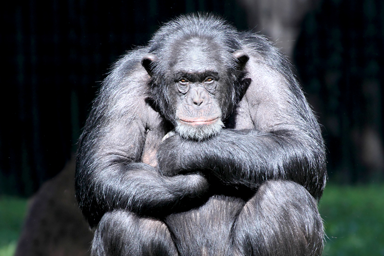(<a href='http://www.shutterstock.com/gallery-164272p1.html'>Kletr</a> via <a href='http://www.shutterstock.com/'>Shutterstock</a>)