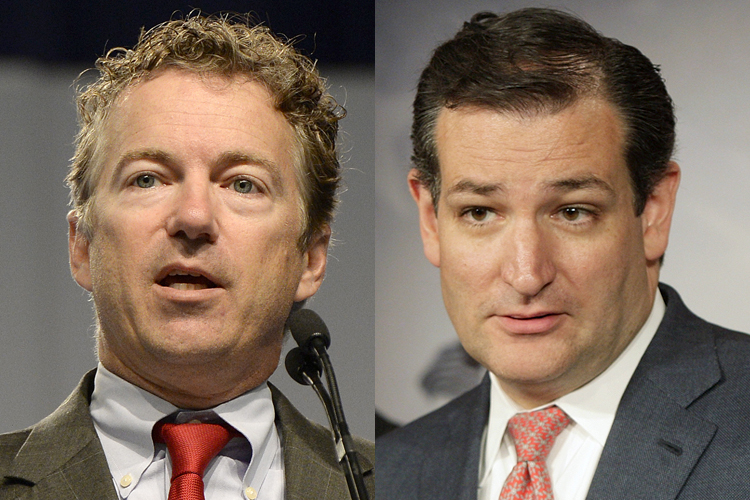 Rand Paul, Ted Cruz (AP/Timothy D. Easley/Reuters/Jonathan Ernst)