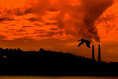 (Dawn Ellner/Flickr)