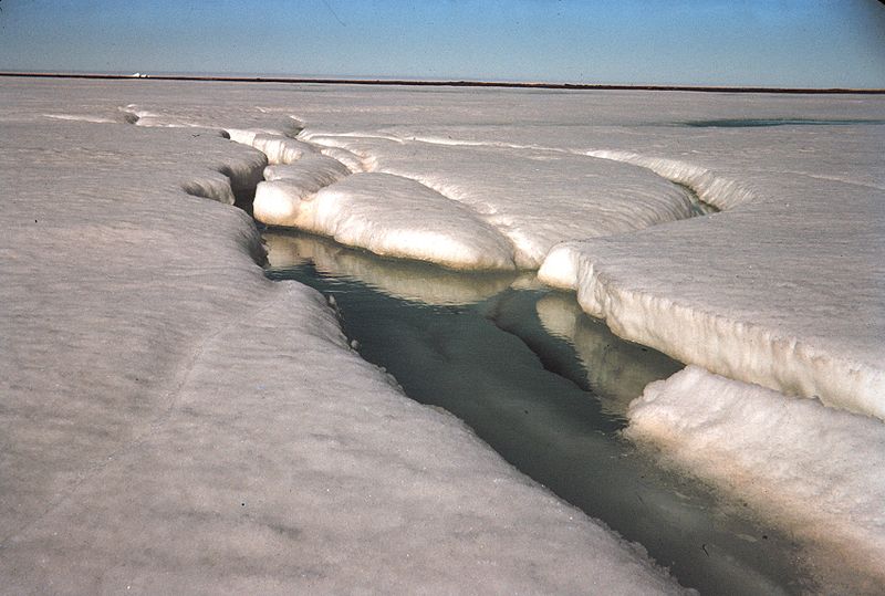(Wikimedia)