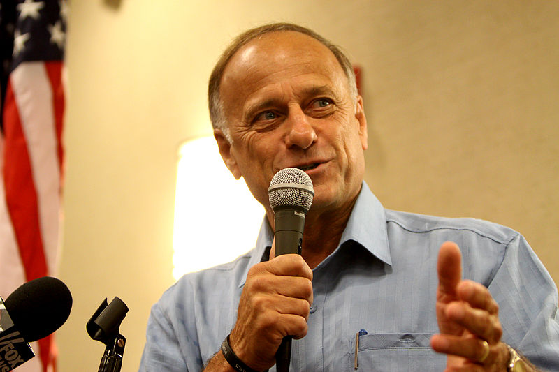 Rep. Steve King (Gage Skidmore/Flickr)