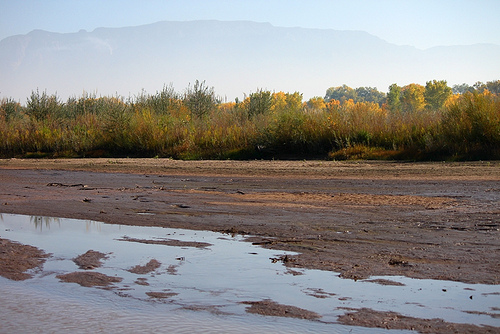 (City of Albuquerque/Flickr)