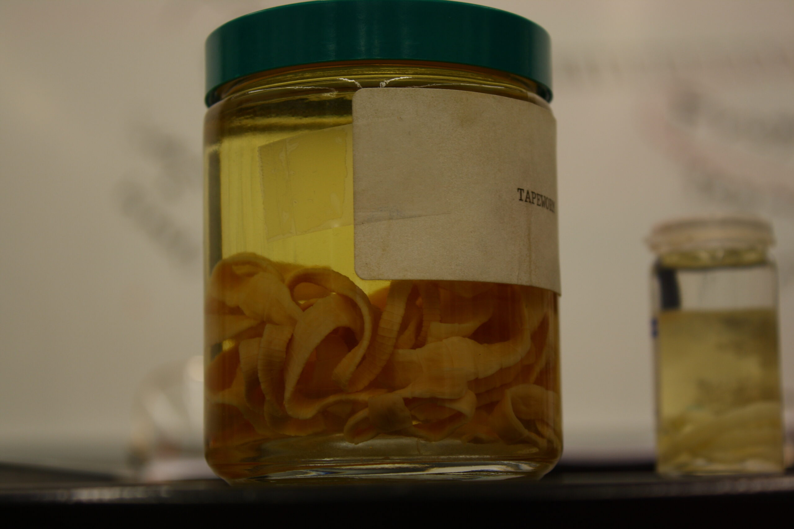 A jar of delicious tapeworms (Lou FCD/Flickr)