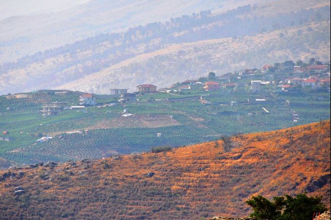 Lush strip of green: Nine-tenths of villagers are believed to take part in marijuana cultivation. (Besar Likmeta/GlobalPost)