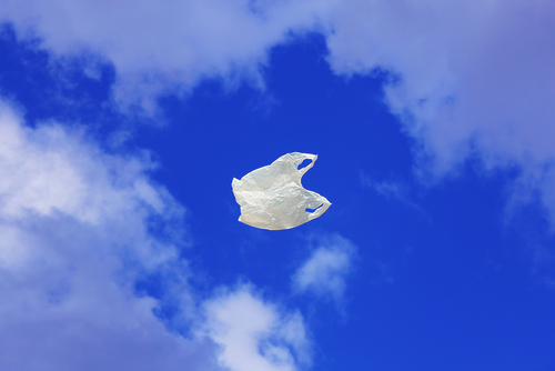 (Lasse Olofsson/Shutterstock)