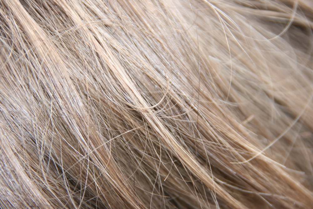 (<a href='<a href='url to photographer'>Photographer Name</a> via <a href='http://www.shutterstock.com/'>Shutterstock</a>'>Krofoto</a> via <a href='http://www.shutterstock.com/'>Shutterstock</a>)