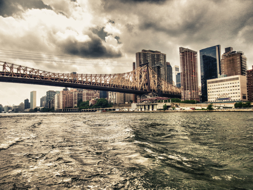 (CristinaMuraca/Shutterstock)