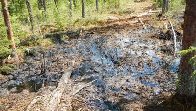 A government scientist provided photos of the spill site in Cold Lake, Alberta (Toronto Star)
