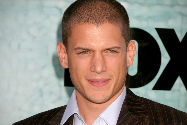 Wentworth Miller (<a href='http://www.shutterstock.com/gallery-842236p1.html'>carrie-nelson</a> via <a href='http://www.shutterstock.com/'>Shutterstock</a>)