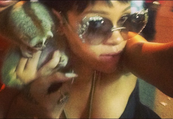 A slow loris "talks dirty" to the pop star (badgirlriri/Instagram)