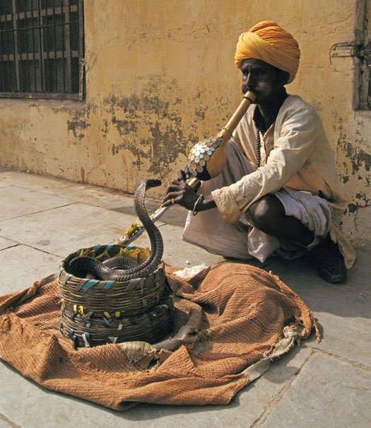 Snake Charmer (John Downer/Getty Images)