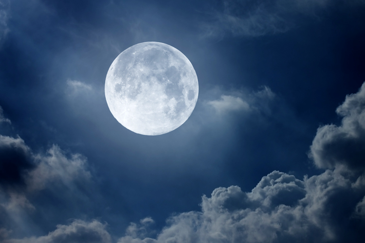 (<a href='http://www.shutterstock.com/gallery-1143125p1.html'>Suppakij1017</a> via <a href='http://www.shutterstock.com/'>Shutterstock</a>)