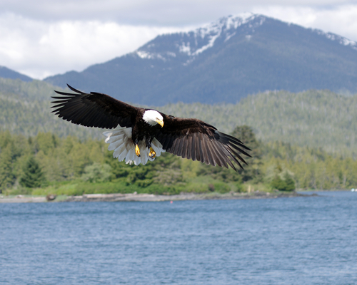 (Wendy Nero/Shutterstock)