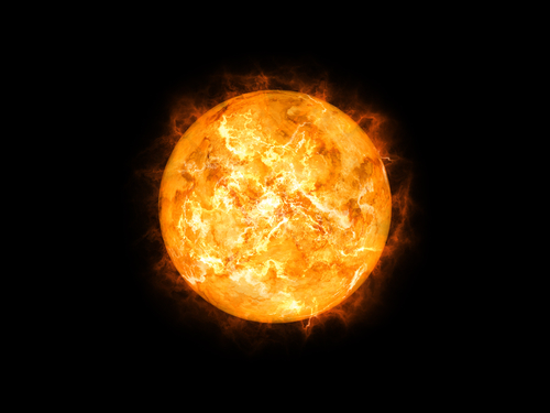 (Markus Gann/Shutterstock)