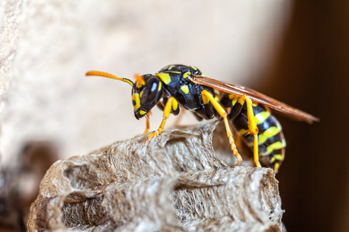 (McCarthy's PhotoWorks/Shutterstock)