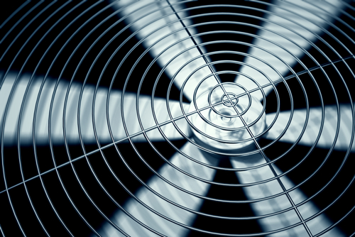 (Dabarti CGI/Shutterstock)