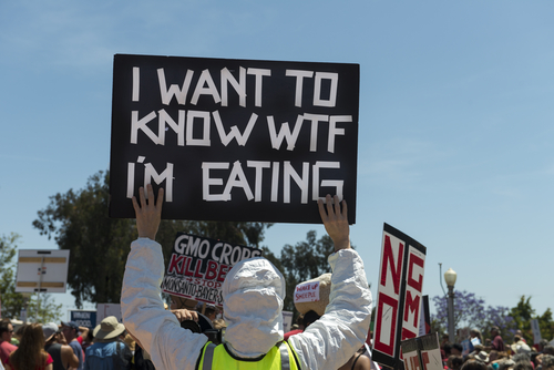 Protesters in Balboa Park as part of a global series of marches against the Monsanto Co. and genetically modified foods on May 25, 2013 in San Diego, California. (justasc/Shutterstock)