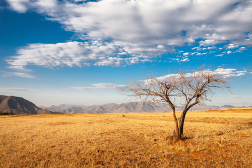 (Gil.K/Shutterstock)