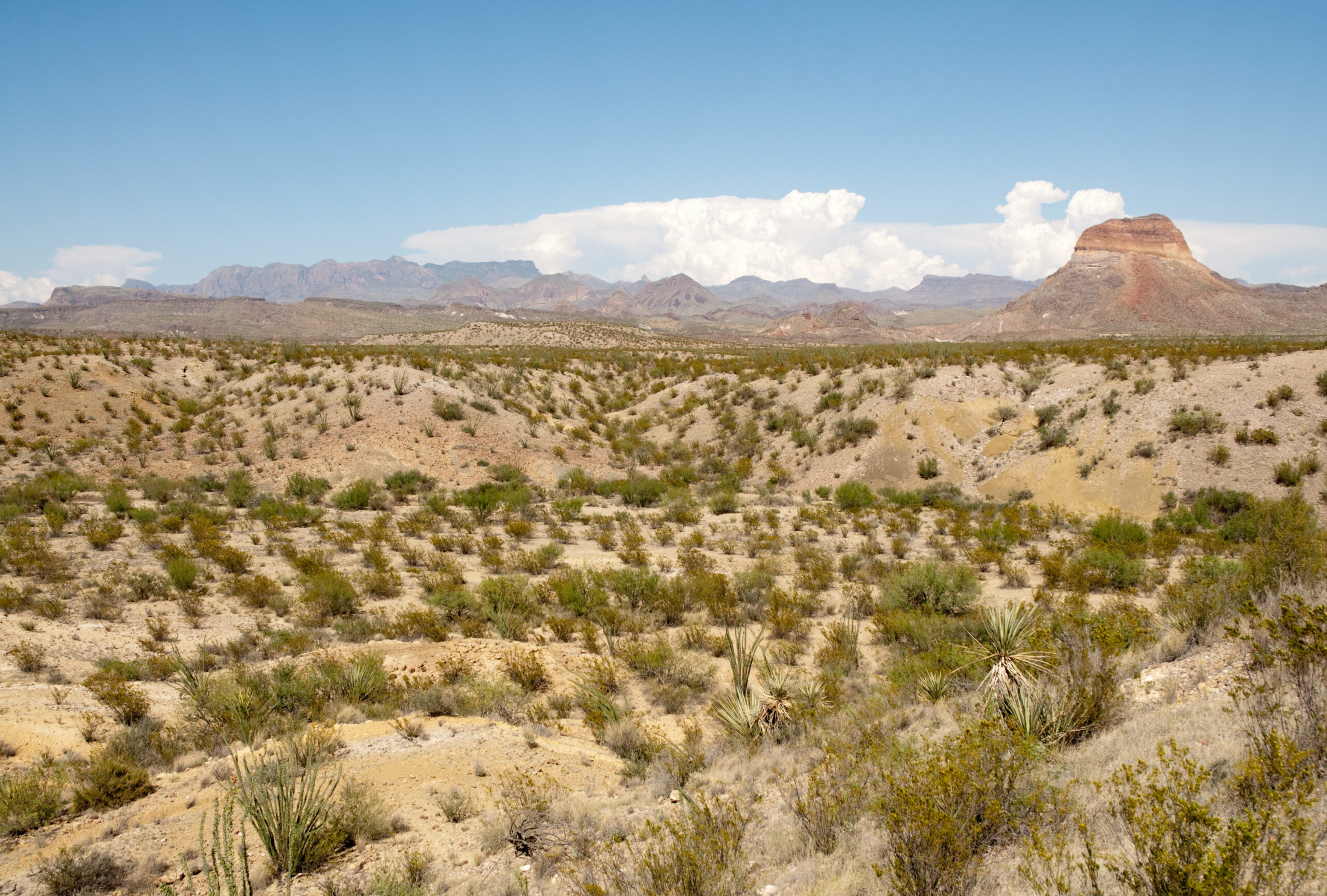 (<a href='http://www.shutterstock.com/gallery-173011p1.html?searchterm=texas%20desert'> Jeffrey M. Frank </a> via <a href='http://www.shutterstock.com/'>Shutterstock</a>)