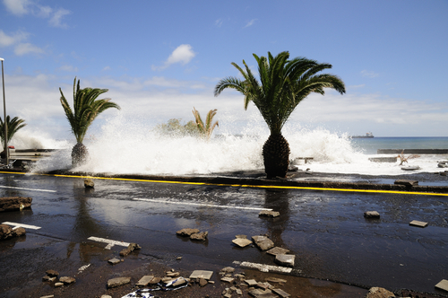 (CANARYLUC / Shutterstock)