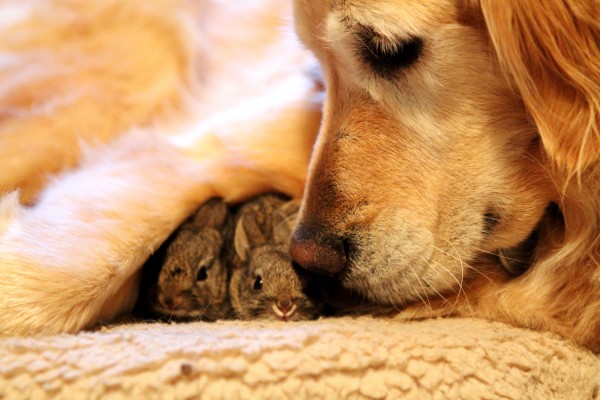 (Tina Case/Rex Usa)