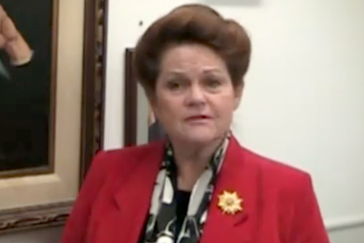 Brenda Barton (youtube.com/Arizona Republican Party)