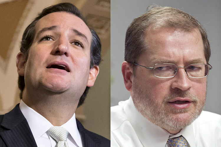 Ted Cruz, Grover Norquist (Reuters/Jonathan Ernst)