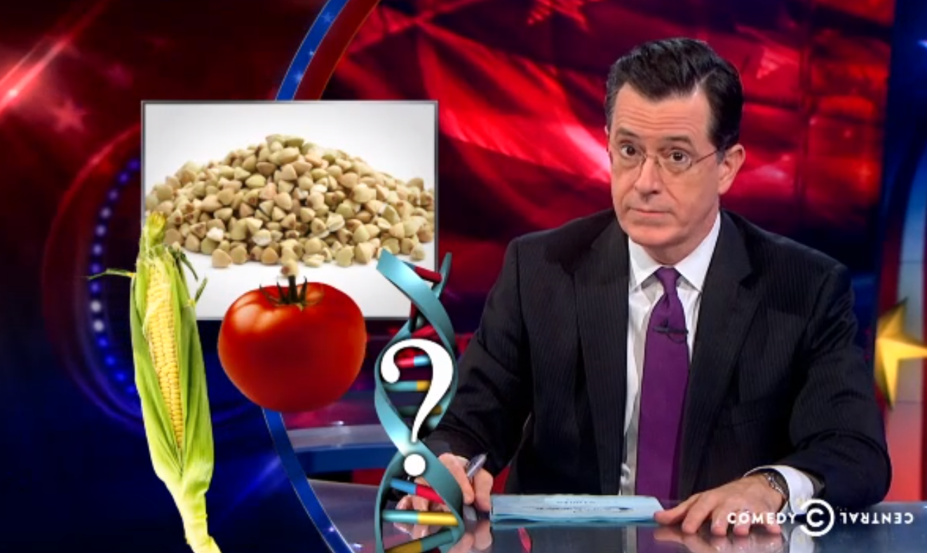 (Screenshot, Colbert Nation)