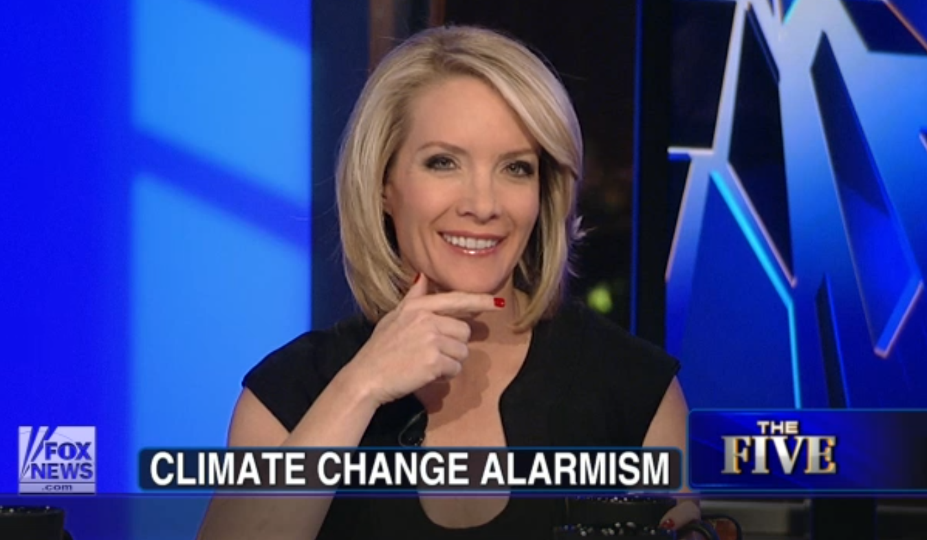 (Screenshot, Fox News)